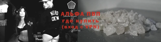 крисы Вязники