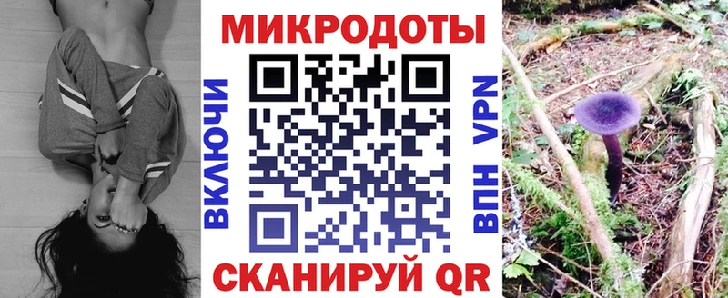 Галлюциногенные грибы мухоморы  хочу наркоту  Ефремов 