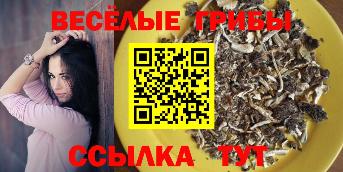 Псилоцибиновые грибы Psilocybine cubensis Ефремов
