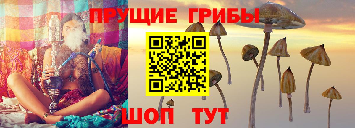 Ефремов  Псилоцибиновые грибы Magic Shrooms  Вход с VPN  Псилоцибиновые грибы ЛСД 